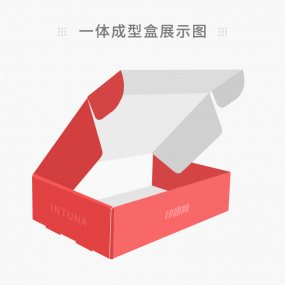 一体成型盒